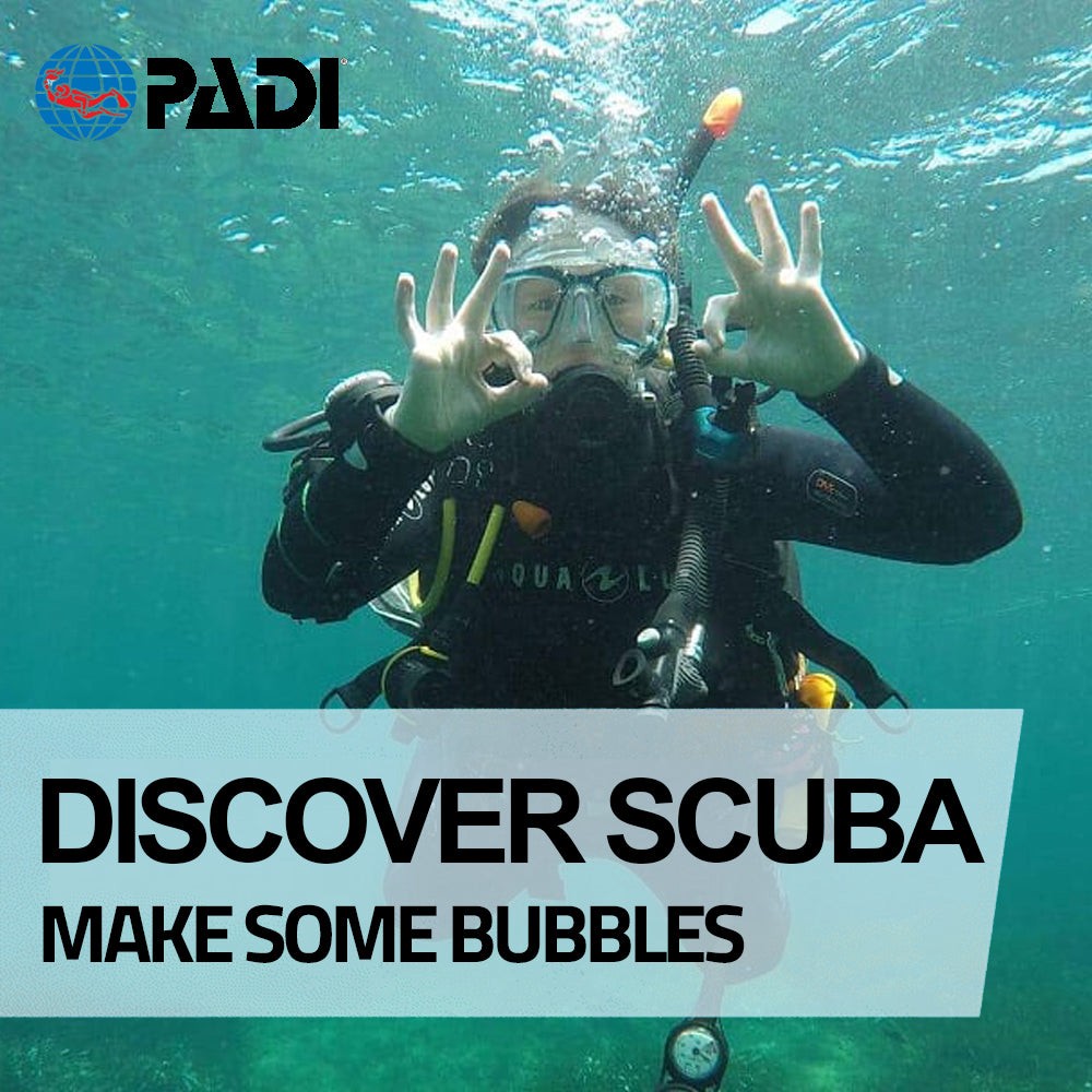 PADI Discover Scuba Diving — DiveWise