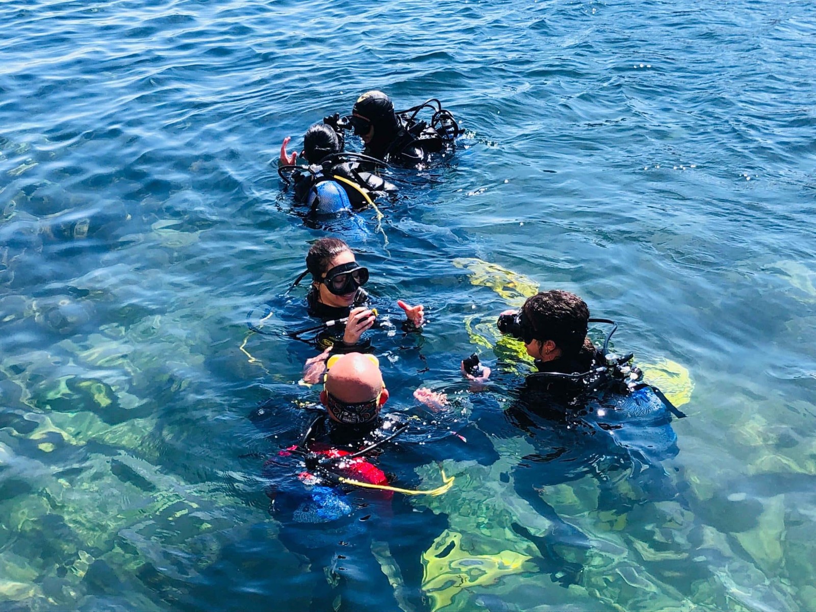 SSI Try Scuba — Dive Systems