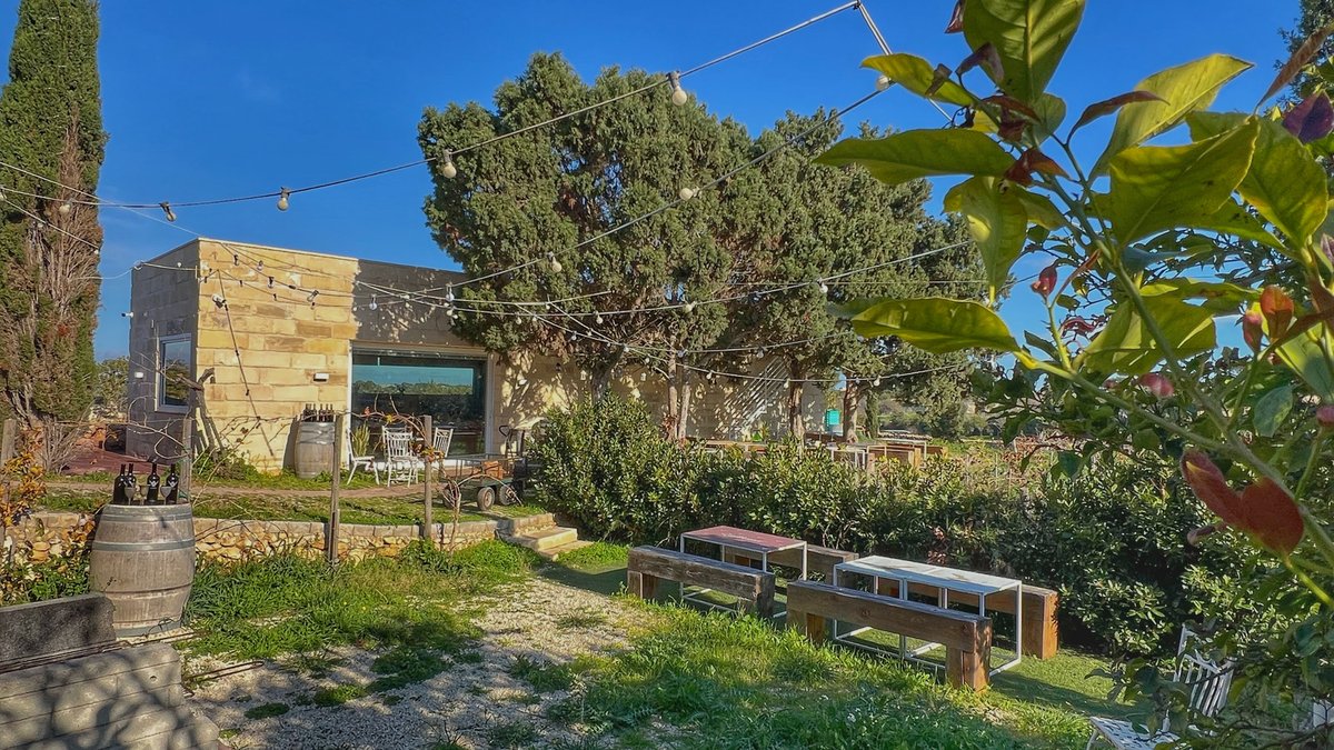 Markus Divinus Boutique Winery Tastings
